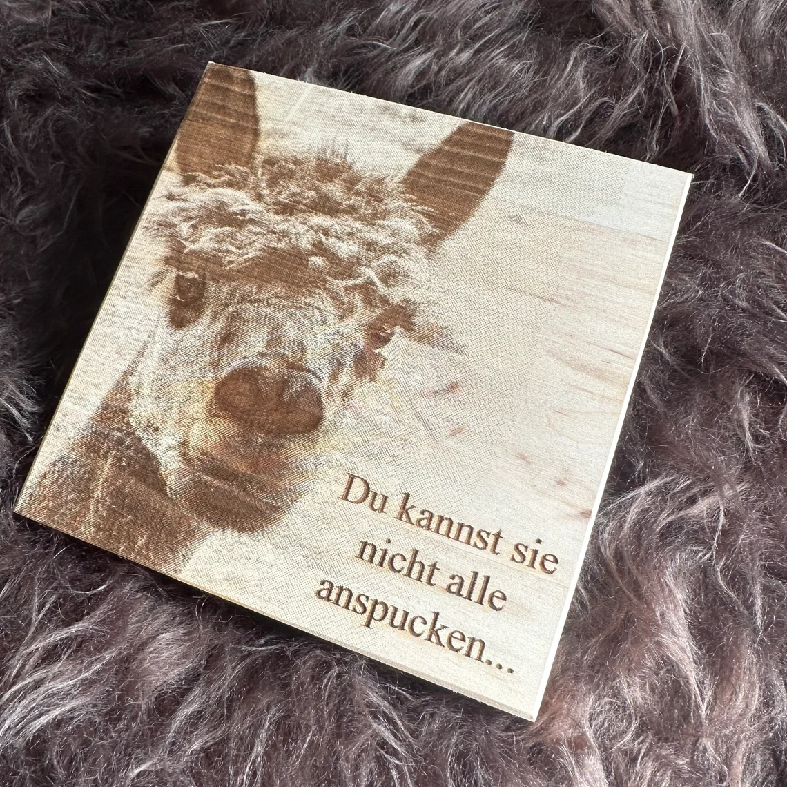 Alpaka Holzgravur " Du kannst Sie nicht alle anspucken..." in 15 × 15 cm