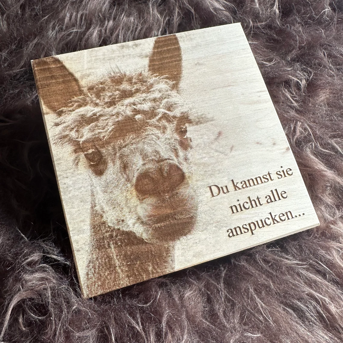 Alpaka Holzgravur " Du kannst Sie nicht alle anspucken..." in 15 × 15 cm